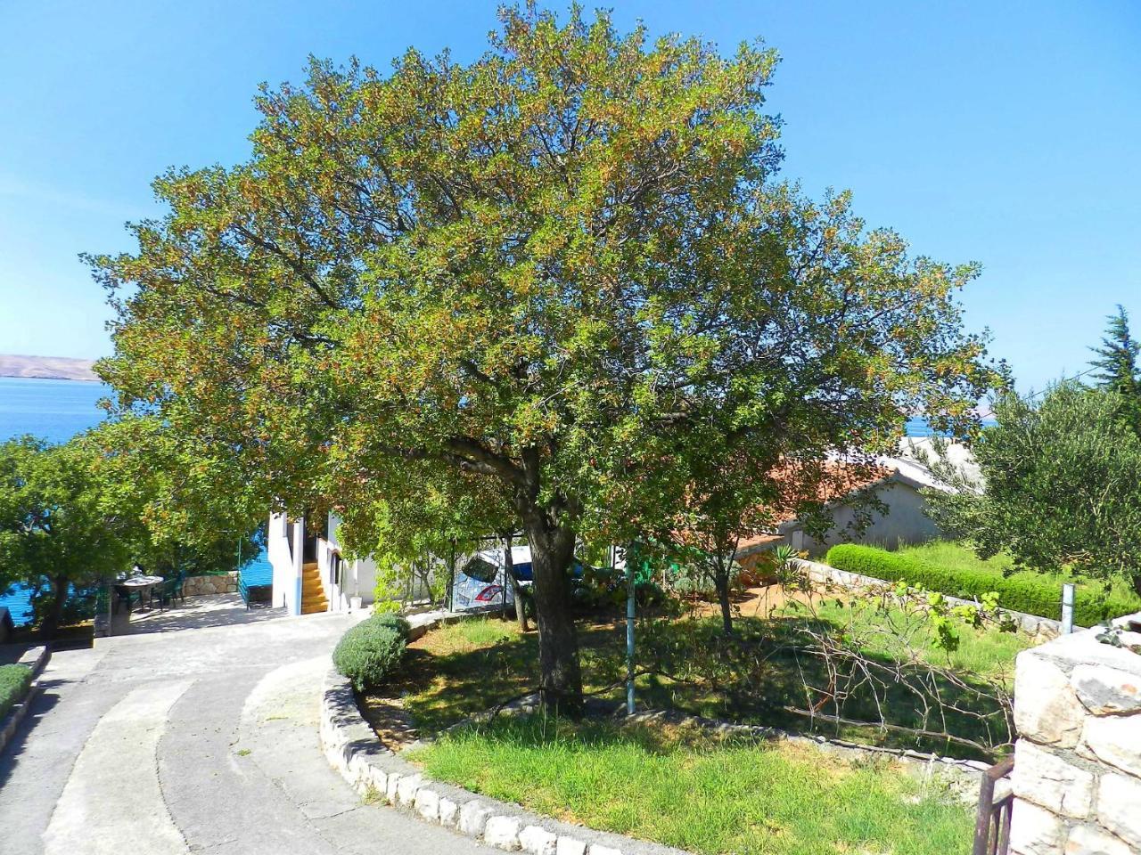 Apartment Renata By Interhome Barić Draga Dış mekan fotoğraf